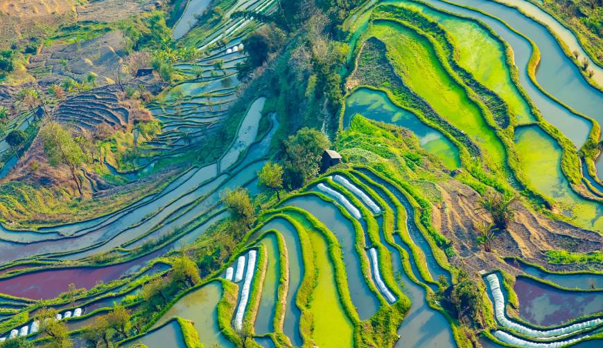 宝妈必备神器：西青区产品视频拍摄轻松育儿好帮手