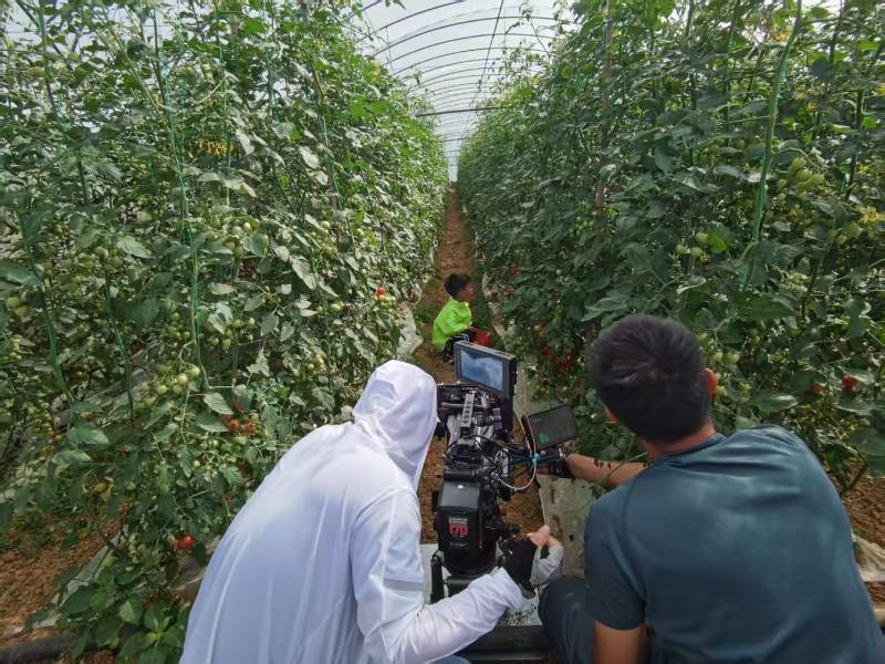 西青区产品宣传视频拍摄公司进阶指南，助力品牌抢占传播高地